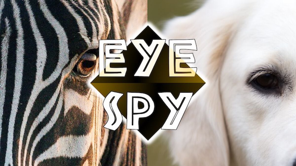 Eye Spy image number null
